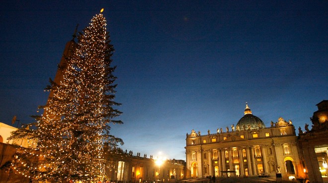 Slovenija bo letos praznično okrasila Vatikan, 75 let staro božično drevo iz Kočevja že na poti (foto: Profimedia)
