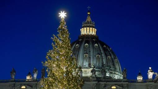 Kako se s preteklimi božičnimi drevesi v Vatikanu primerja slovenska 30-metrska smreka
