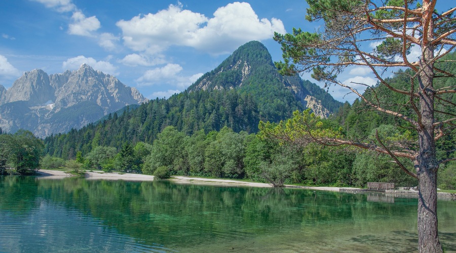 Veljavnost turističnih bonov podaljšana do konca prihodnjega leta (foto: Profimedia)