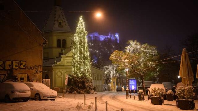 Največ snega je zapadlo na Notranjskem in Kočevskem, v prometu ne poročajo o večjih težavah (foto: Nebojša Tejić/STA)