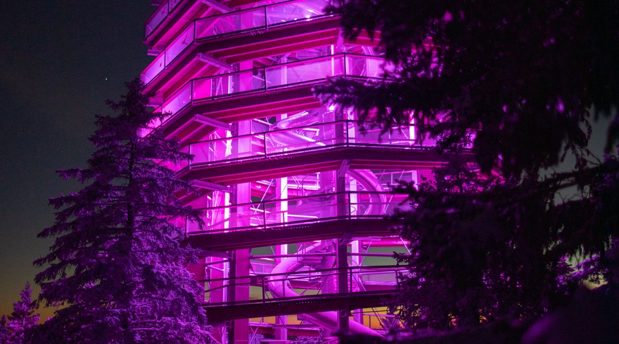 Aurora na Poti med krošnjami in Mike Vale (foto: Promocijsko gradivo)