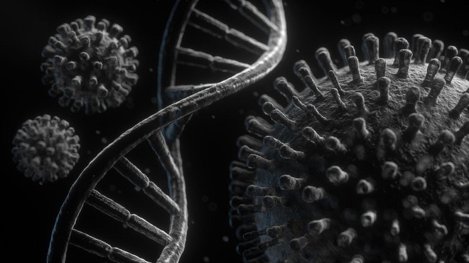 6 dejstev, ki jih o novi mutaciji vemo, in 3 velika vprašanja, ki se zastavljajo! (foto: profimedia)