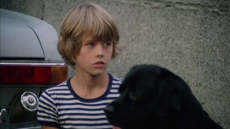 Gledalci bodo lahko videli film Sreča na vrvici, kot so ga videli obiskovalci na premieri filma leta 1977