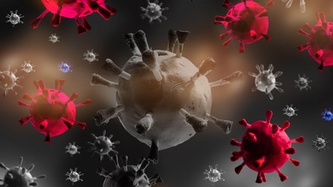 Koronavirus mutira bolj redko od virusa gripe, kažejo nova znanstvena spoznanja