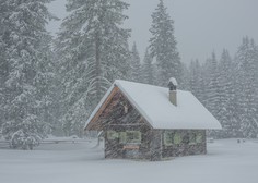 Arso izdal opozorilo, ponekod lahko zapade do 60 cm snega