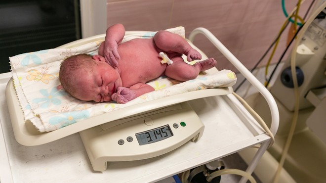 Prvi letošnji novorojenček privekal na svet v Postojni 56 minut čez polnoč (foto: profimedia)