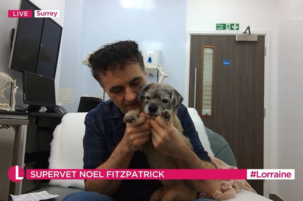 Noel Fitzpatrick: »Zaprl sem oči, da bi ustavil bolečino, Pirate pa me je lizal po solznem obrazu.« (foto: profimedia)