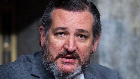 Skupina 11 republikanskih senatorjev pod vodstvom Teda Cruza ne bo potrdila Bidnove zmage
