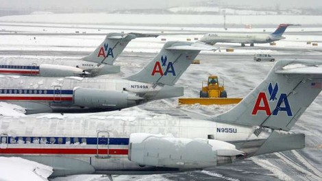 Družba American Airlines bo na svojih poletih prepovedala živali za "čustveno podporo"