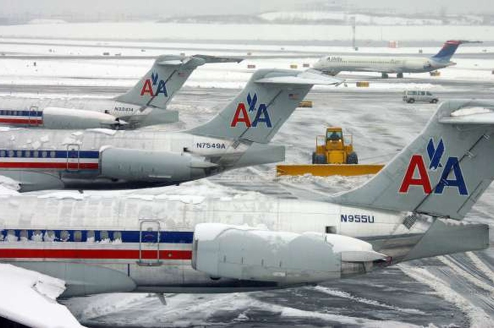 Družba American Airlines bo na svojih poletih prepovedala živali za "čustveno podporo" (foto: Xinhua/STA)