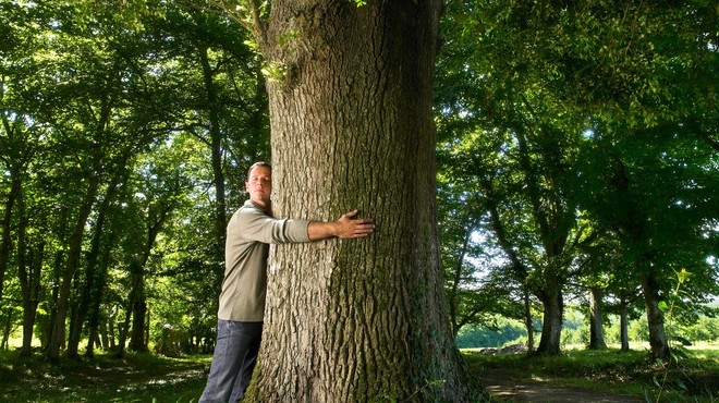 Kako se spopasti s čustvenim mačkom? (foto: profimedia)