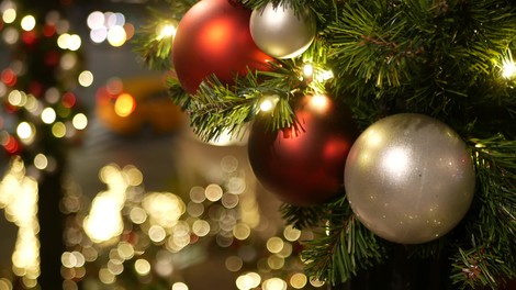 Danes vam še ni treba pospraviti okrasnega drevesca, letos se to dela 10. januarja