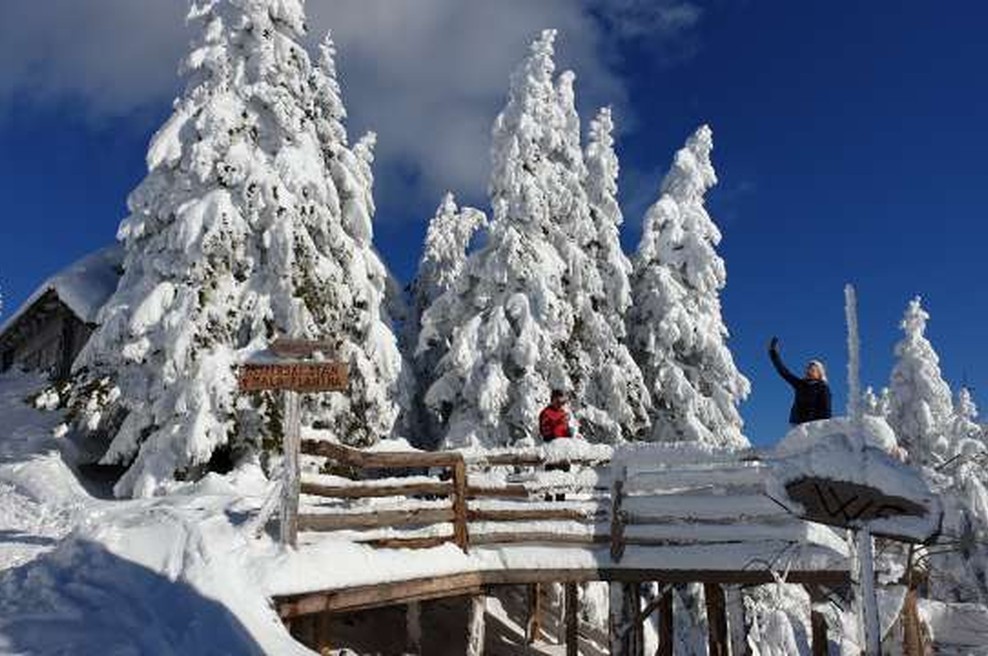 Pozor! Po tej poti do Velike planine prevozite dve regiji. In tam vas bo čakala kontrola! (foto: Robert Hrovat/STA)