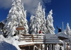 Pozor! Po tej poti do Velike planine prevozite dve regiji. In tam vas bo čakala kontrola!