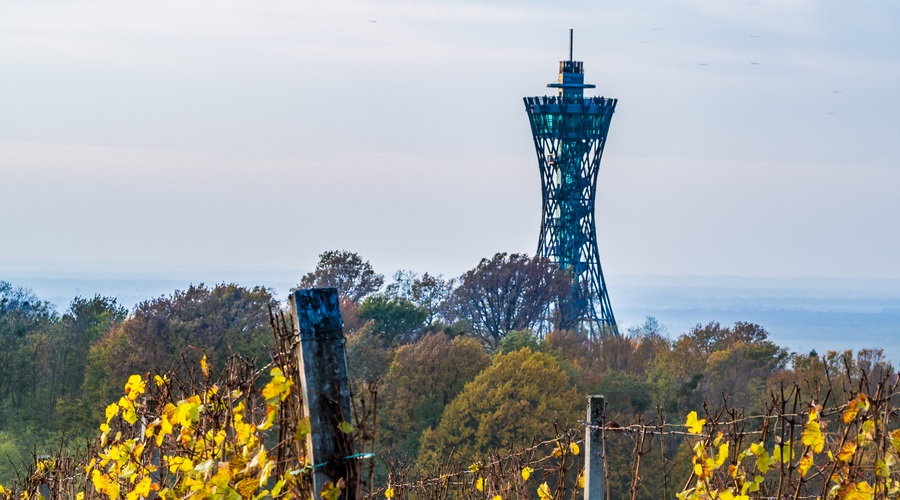 Fontana piv v Žalcu, vinska fontana v Marezigah in razgledni stolp v Lendavi povečali turistični obisk (foto: Shutterstock)