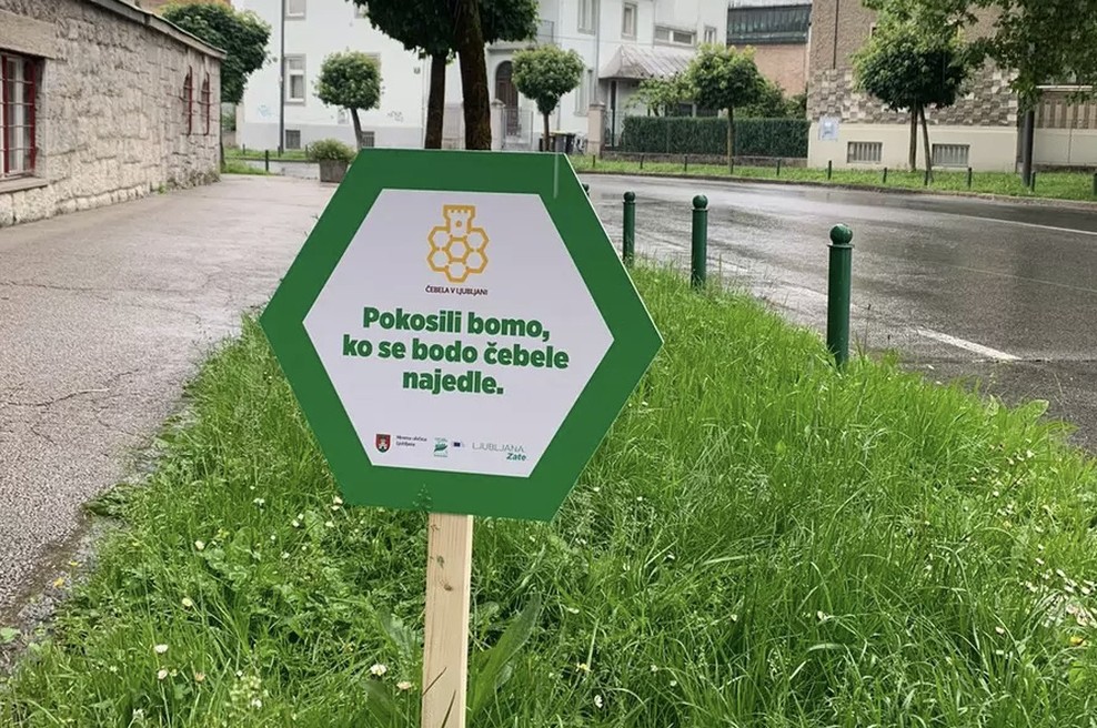 15 dobrih praks trajnostnega urbanega razvoja v Sloveniji (foto: ljubljana.si)