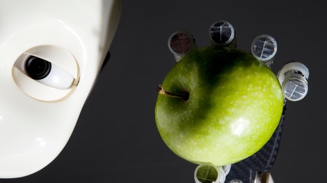 Nam človeku podobni roboti obljubljajo najboljšega ali najslabšega od vseh svetov?