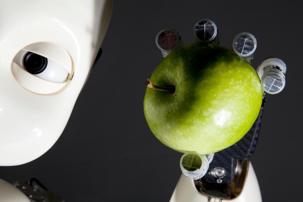 Nam človeku podobni roboti obljubljajo najboljšega ali najslabšega od vseh svetov? (foto: profimedia)