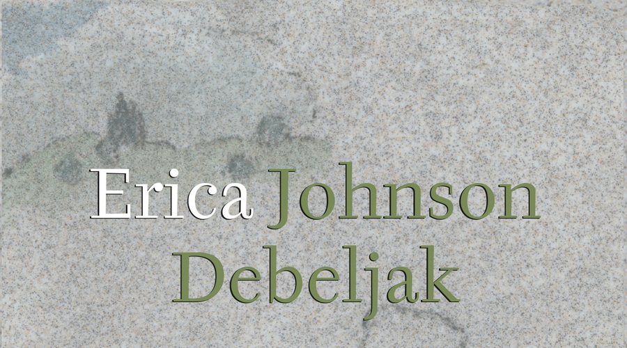 Devica, kraljica, vdova, prasica (izpod peresa Erice Johnson Debeljak) (foto: emka.si, mladinska knjiga)