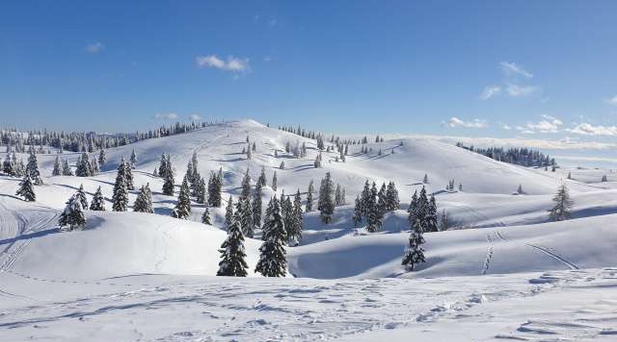V petek bodo odprli tudi smučišče na Veliki planini (foto: Robert Hrovat/STA)