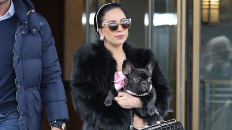 Neznanca v Los Angelesu ubila sprehajalca psov Lady Gaga in ugrabila njena dva buldoga
