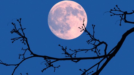 Japonski milijarder vabi osem ljudi z vsega sveta, da se mu pridružijo na poletu okoli Lune