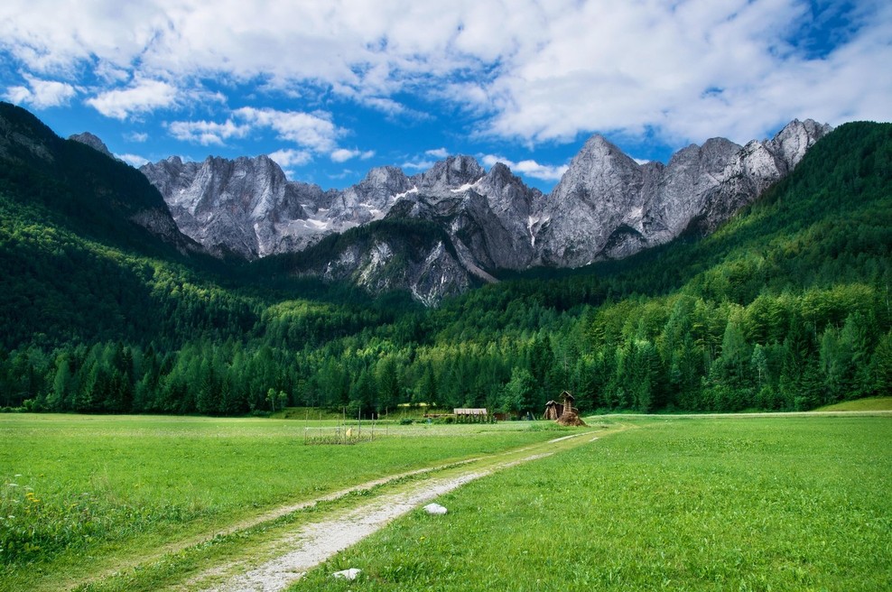 3. marec - svetovni dan prostoživečih živalskih in rastlinskih vrst (foto: Profimedia)