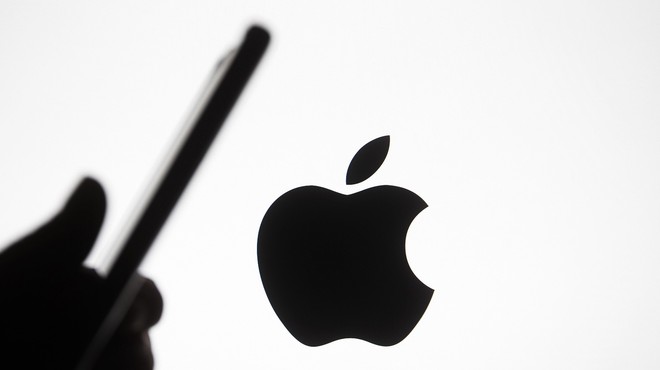 Apple bo maja snemal ulice v Ljubljani in Mariboru (foto: Profimedia)