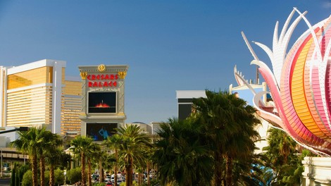 V Las Vegasu želijo prepovedati okrasno travo