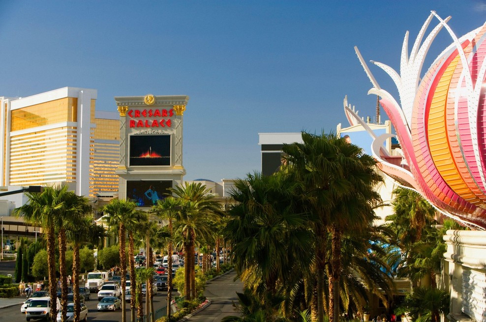 V Las Vegasu želijo prepovedati okrasno travo (foto: Profimedia)