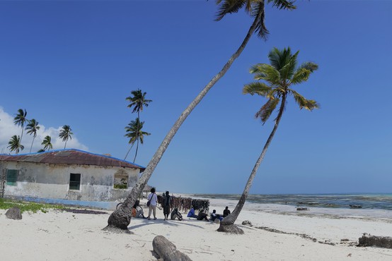 5 zanimivosti in priporočil popotnikom, ki so namenjeni v Zanzibar