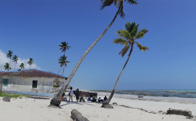 5 zanimivosti in priporočil popotnikom, ki so namenjeni v Zanzibar (foto: Vid Legradič)