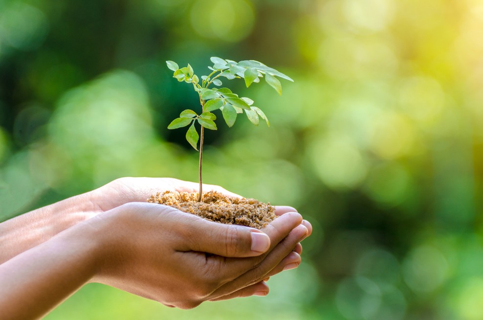 Danes obeležujemo dan Zemlje s pozivom "Obnovimo našo Zemljo" (foto: Shutterstock)