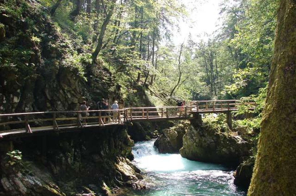 Soteska Vintgar po daljšem zaprtju znova vabi obiskovalce (foto: Tinkara Zupan/STA)