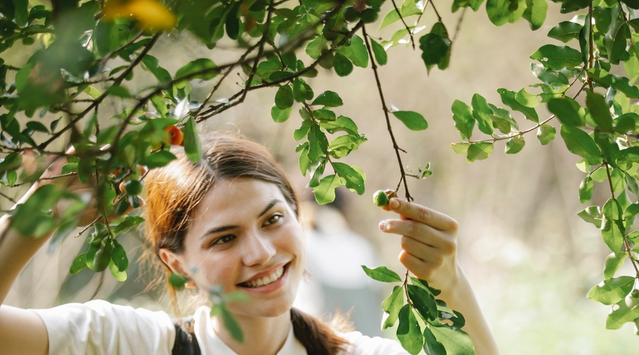 10 načel trajnostnega življenja, ki jih lahko posvojite tudi vi (foto: pexels)