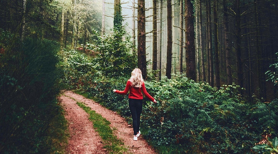 Tisti, ki opazuje lepoto Zemlje, najde ključ za življenje (foto: pexels)