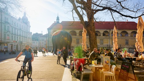 Med volivci je kar petina neopredeljenih, delo parlamenta pa podpira zgolj 19,7 odstotka vprašanih