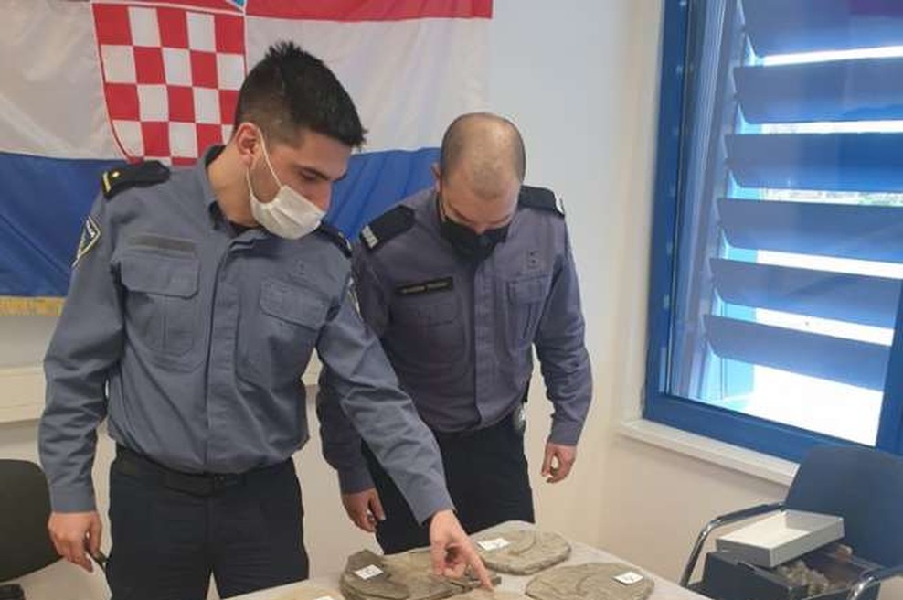 Hrvati v avtomobilu s slovensko registracijo odkrili veliko količino fosilov (foto: Hina/STA)