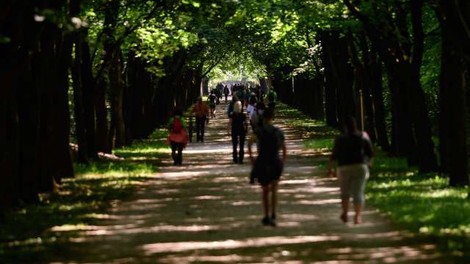 Pohod Pot ob žici letos v prilagojeni obliki