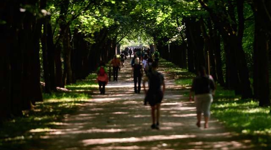 Pohod Pot ob žici letos v prilagojeni obliki (foto: Nebojša Tejić/STA)