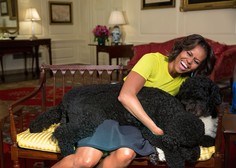 Družina Obama ostala brez hišnega ljubljenčka, pes Bo podlegel bolezni