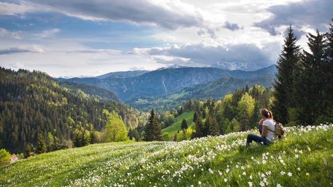 V Sloveniji gozdove, gore in vodo jemljemo "kar tako" za samoumevno (foto: profimedia)