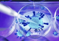 Pandemija privedla do novih poslovnih priložnosti