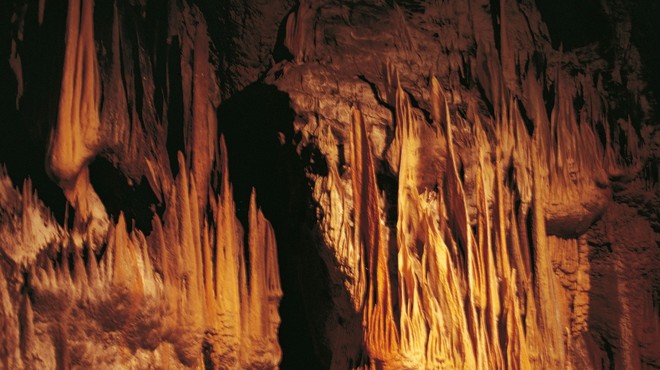 Turiste bo ponovno sprejela tudi Postojnska jama (foto: Profimedia)