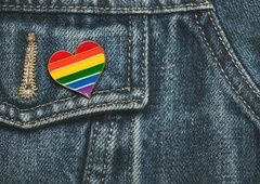 Madžarski Fidesz predlagal zakon, ki naj bi mlade oddaljil od pogovorov o homoseksualnosti