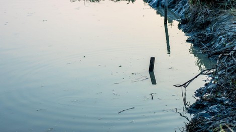Nelegalno odloženo komunalno blato, ki je povzročilo ekološko katastrofo v Hočah, naj bi bilo s Ptuja