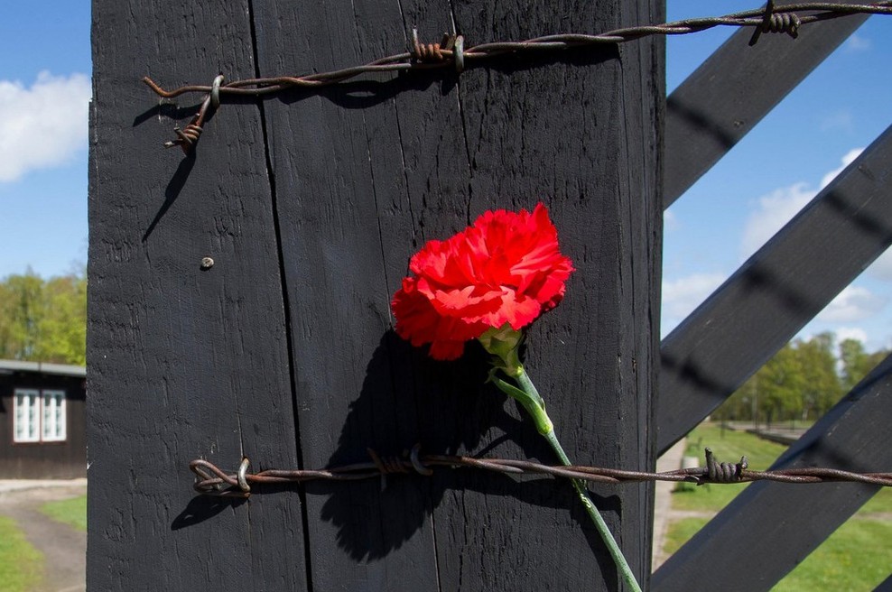 Ljubezen za bodečo žico: roman o resnični ljubezenski zgodbi za časa Hitlerjevega režima (foto: profimedia)