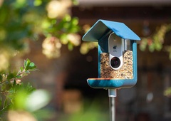 Pametna ptičja krmilnica Bird Buddy z videokamero in mikrofonom je slovenski startup leta