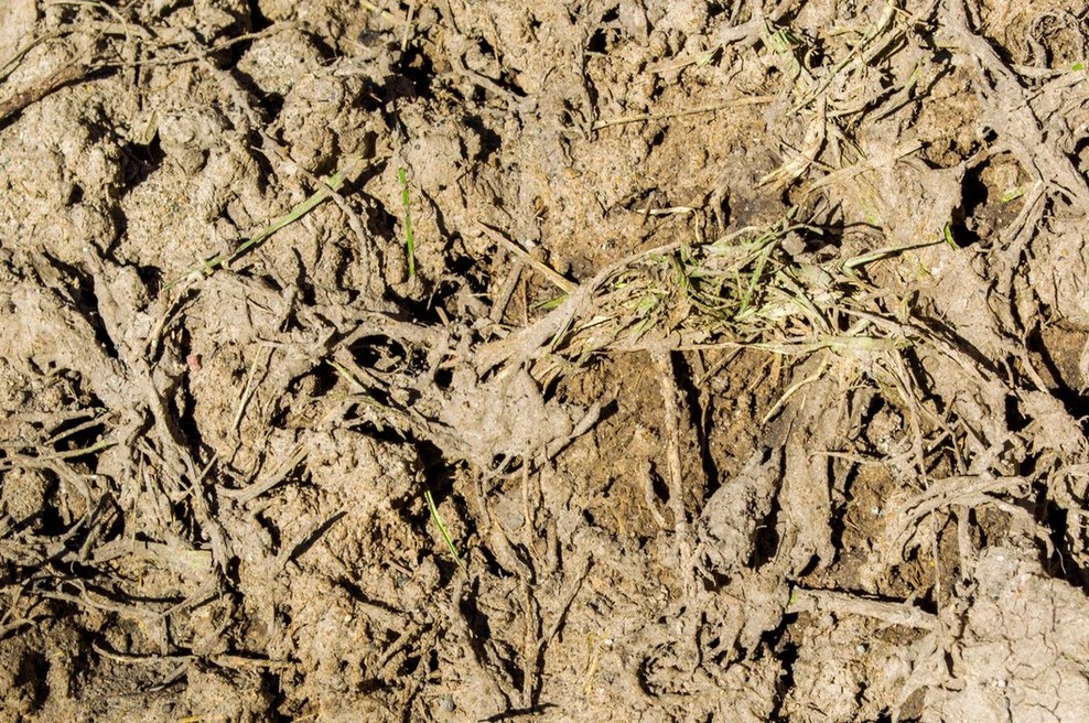 Sodno pridržanje za četverico, vpleteno v nezakonito odloženo blata v Hočah (foto: profimedia)