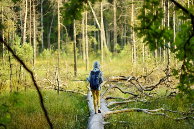 V Sloveniji gozdove, gore in vodo jemljemo "kar tako" za samoumevno (foto: Profimedia)